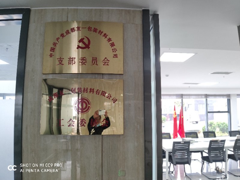 热烈祝贺J9集团国际站集团成都分公司党支部在2020年3月11日授牌成立，支部书记曹云(行政部经理)